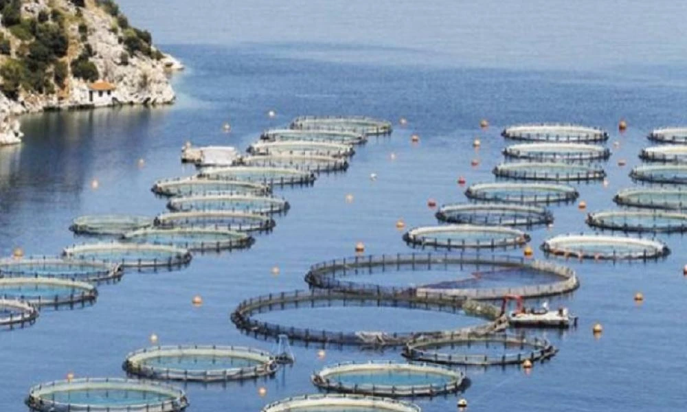 Δημόσια ενίσχυση ιχθυοκαλλιεργειών από το Ταμείο Ανάκαψης